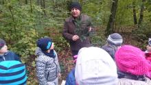 Dzieciaki poznają warstwy lasu