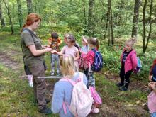 Przedszkolaki uczą się mierzyć las